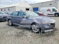 2019 Honda Accord photo