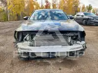 2019 Honda Accord photo