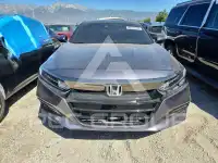 2019 Honda Accord photo