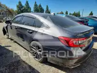 2019 Honda Accord photo