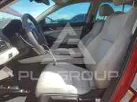 2019 Honda Accord photo
