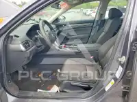 2019 Honda Accord photo