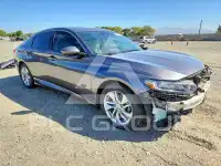 2019 Honda Accord photo