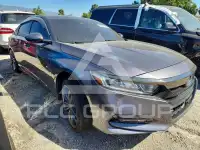 2019 Honda Accord photo
