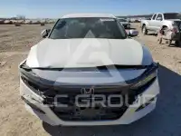 2019 Honda Accord photo