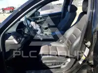 2019 Honda Accord photo