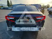 2019 Honda Accord photo