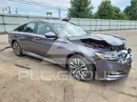 2019 Honda Accord фото