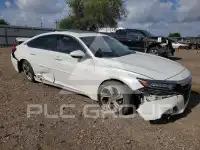 2019 Honda Accord photo