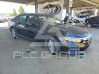 2019 Honda Accord photo