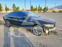 2019 Honda Accord photo