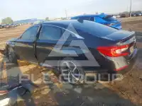 2019 Honda Accord photo