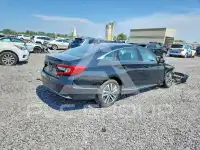 2019 Honda Accord photo