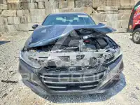 2019 Honda Accord photo