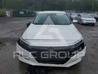 2019 Honda Accord photo