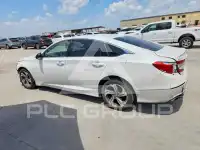 2019 Honda Accord photo