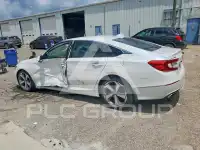 2019 Honda Accord photo