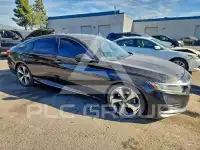 2019 Honda Accord photo