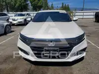 2019 Honda Accord фото