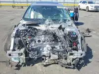 2019 Honda Accord photo