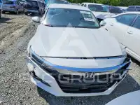2019 Honda Accord фото
