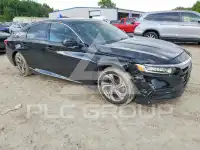 2019 Honda Accord photo
