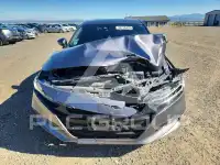 2019 Honda Accord фото