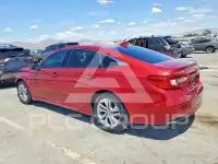 2019 Honda Accord photo