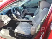 2019 Honda Accord photo