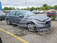 2019 Honda Accord photo