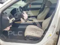 2019 Honda Accord photo