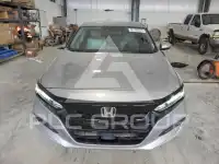 2019 Honda Accord photo