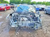 2019 Honda Accord фото