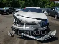 2019 Honda Accord photo
