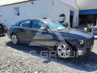 2019 Honda Accord photo