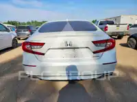 2019 Honda Accord photo
