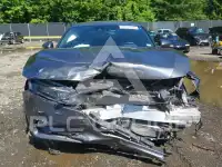 2019 Honda Accord photo