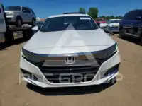 2019 Honda Accord photo
