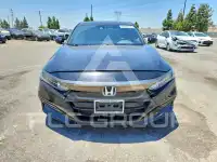 2019 Honda Accord фото