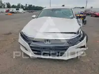 2019 Honda Accord photo