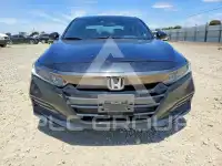 2019 Honda Accord photo