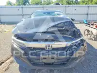 2019 Honda Accord photo