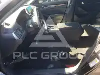 2019 Honda Accord photo