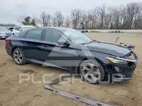 2019 Honda Accord photo