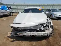 2019 Honda Accord photo