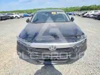 2019 Honda Accord фото