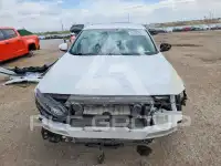 2019 Honda Accord фото