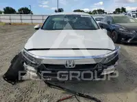 2019 Honda Accord photo