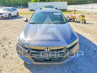 2019 Honda Accord photo