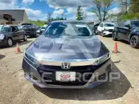 2019 Honda Accord фото